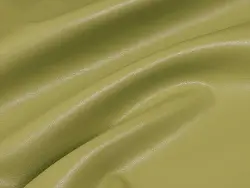Morgan (pistachio)