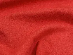Uno (coral)